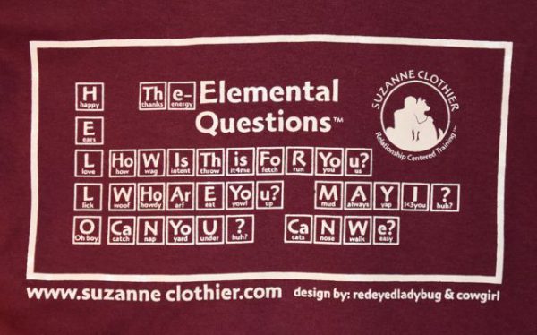 ELEMENTAL QUESTIONS T-shirt Burgundy