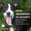 From Maddening to Maturity Seminar DVD