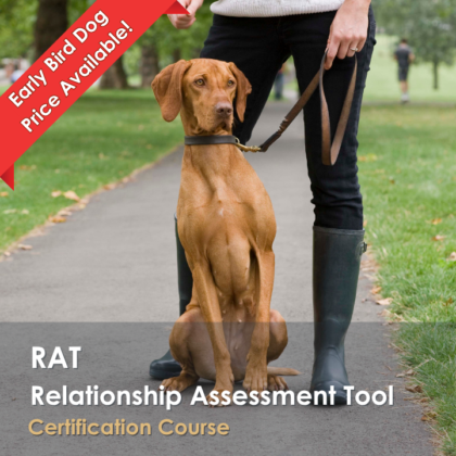 RAT: Relationship Assessment Tool