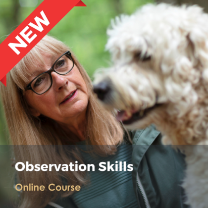 Observation Skills NEW