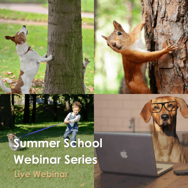 Summer School Series!