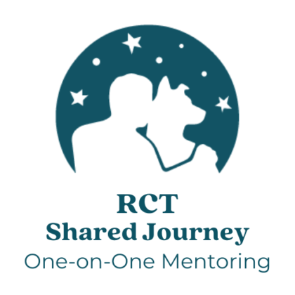 The Shared Journey: One on One Mentorship