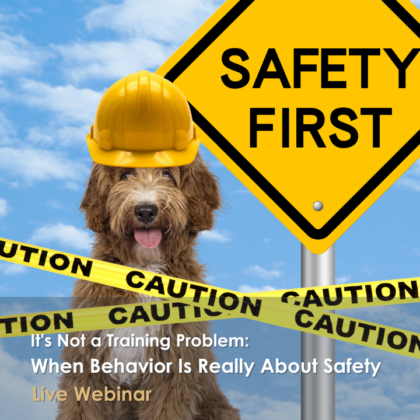 It's Not a Training Problem: When Behavior is Really About Safety