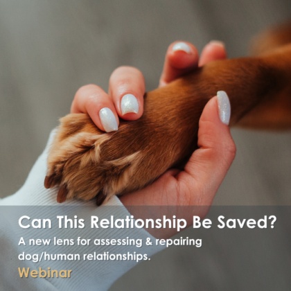 Can This Relationship Be Saved? A new lens for assessing & repairing dog/human relationships